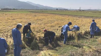 ボランティア米活動を実施　井関農機