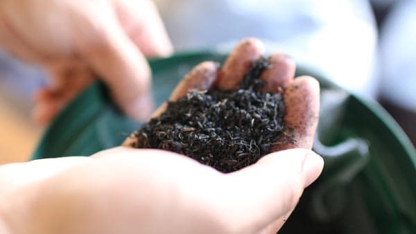 「SBIR推進プログラム」に採択　"高機能バイオ炭"の研究開発を推進　TOWING