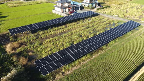 ヤンマーから営農型太陽光発電建設工事を受注　スマートブルー