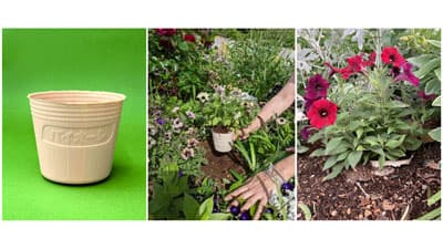 竹が原料の生分解バイオマス資材「バイオーレ ポット」試作品モニター募集　横浜植木