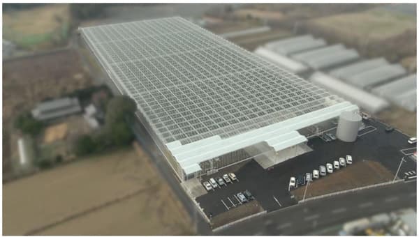 収量最大化と環境負荷低減を両立　最先端グリーンハウスを受注・竣工　NTTアグリテクノロジー