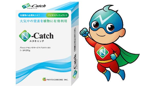 大気中の窒素を植物に有効利用　バイオスティミュラント「エヌキャッチ」新発売　ファイトクローム