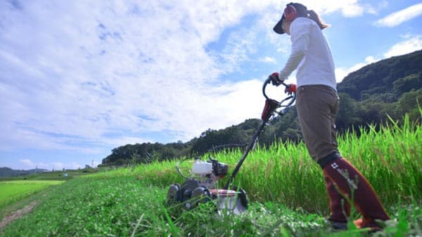 レバーを引いて歩くだけ「自走草刈機　速刈り君」発売　コメリ