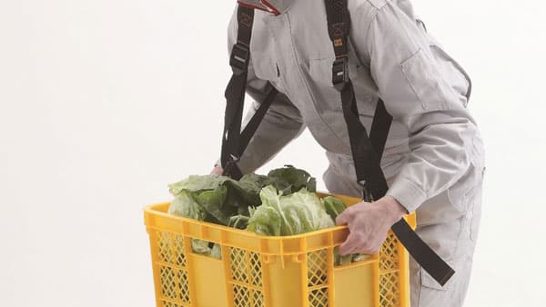 収穫作業の負担を軽減　オリジナル「らくらくコンテナベルト」新発売　コメリ