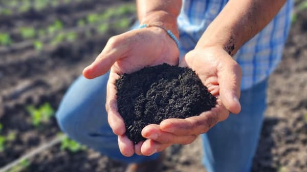 高機能バイオ炭「宙炭」のTOWING　メキシコで土壌改良の実証実験開始