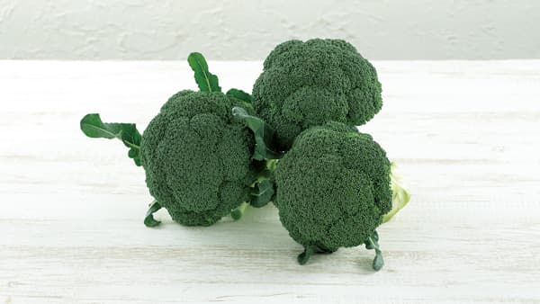 根こぶ病耐病性ブロッコリー「アーリーキャノン」種子発売　サカタのタネ