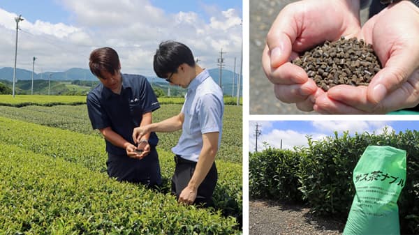 ＪＡおおいがわ、ホテイフーズと共同　茶殻肥料を製品化　静岡県で地域資源循環型農業　伊藤園