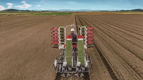 直進アシスト機能搭載　乗用全自動野菜移植機「PW200Rシリーズ」発売　ヤンマーアグリ