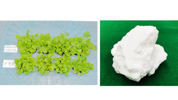 国内初　化学強化廃棄塩を肥料原料にリサイクル　ADY×ユーグレナ