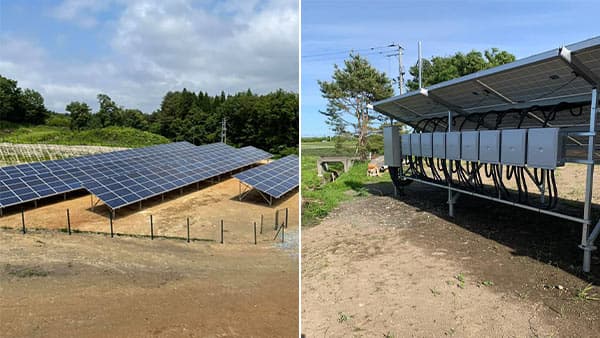 コスト削減で太陽光発電に注目　千葉県の畜産業者から設置の問合せ急増　サンエー