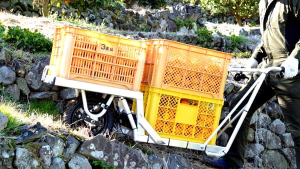 みかん農家の労力削減を支援　ＪＡえひめ南と共同で"ねこ車電動化キット"活用　CuboRex