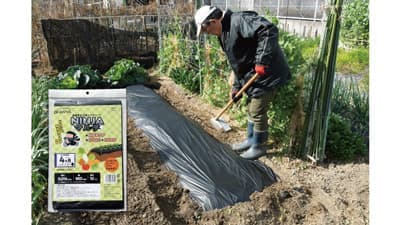 自然に消える　農業用生分解「NINJAマルチ」使い切り10ｍ発売　オーミヤ