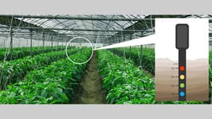 デジタル農業プラットフォーム「NileBank」トライアルキャンペーンを実施　ナイルワークス