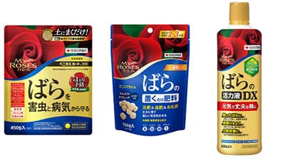 「マイローズシリーズ」発売10周年記念　プレゼントキャンペーン開催　住友化学園芸