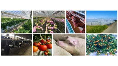 中古農業用ハウスの価格評価サービス提供開始　事業性評価研究所