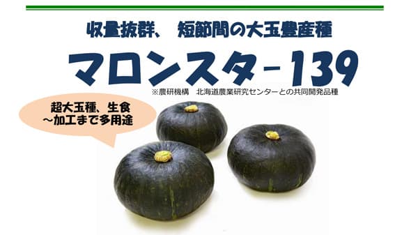 カボチャ試交No. 「AJ-139」を品種名「マロンスター139」として新発売　朝日アグリア