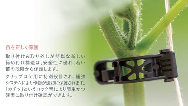 「GPEC」に初出展　施設栽培用クリップ育苗向け製品を紹介　レイモンアグリカルチャー