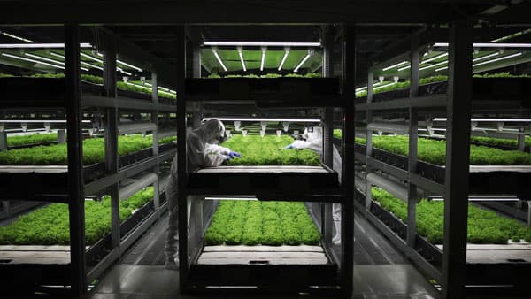 国内フードテックで過去最高の総額40億円　大型資金調達を実施　スプレッド