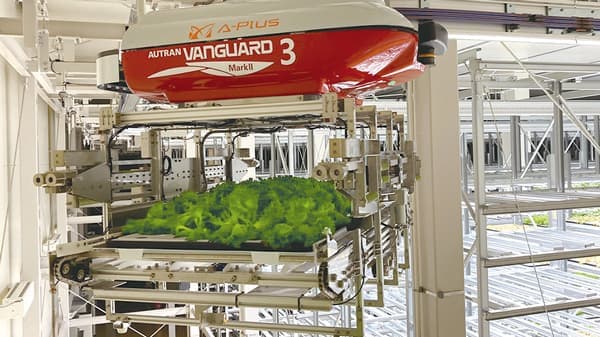 次世代モデルの人工光型植物工場　福井・美浜町に建設　椿本チエイン