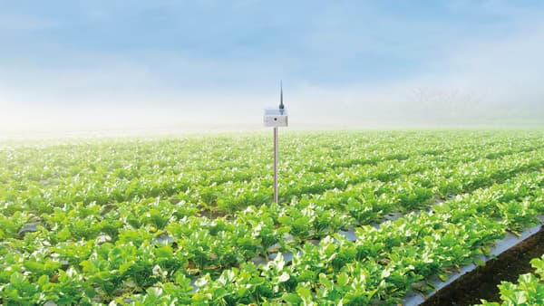 電源、ネット環境がなくても　ほ場を写すことに特化したカメラ「フィールドショット」を開発　farmo