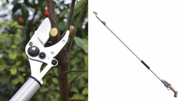 4段階の伸縮でどんな樹木にも対応「充電式高枝電動鋏」新発売　コメリ