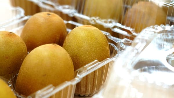 卵パック形状でキウイを守る「NZWキウイシリーズ」新発売　エフピコチューパ