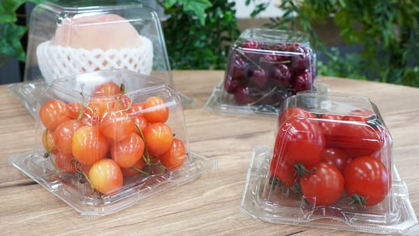 プラスチックリデュース製品第4弾「エコVF-APダイスシリーズ」新発売　エフピコチューパ