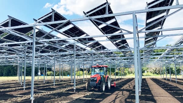 営農型太陽光発電事業の規模を拡大 2025年12月から　クボタ