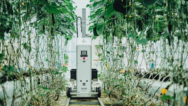 経産省「Japan Innovation Campus」に採択でシリコンバレー進出　AGRIST