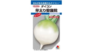 来年の干支「うさぎ」が略称「早太り聖護院ダイコン」を紹介　タキイ種苗