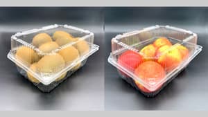 本体と蓋の一体型　大容量の「ボタン嵌合式フードパック」新発売　エフピコチューパ