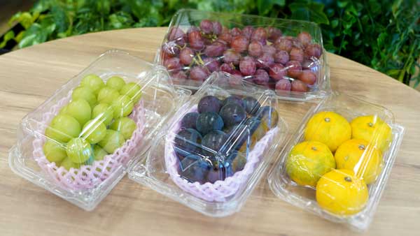 プラスチックリデュース製品第3弾「エコGPRシリーズ」発売　エフピコチューパ