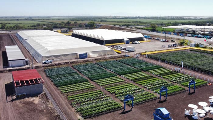 中米市場向け品種開発・マーケティングを強化　メキシコに研究拠点開設　サカタのタネ