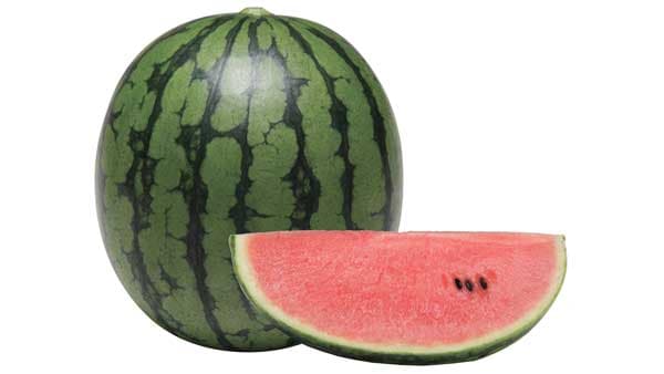 大玉のような硬肉で強いシャリ感と棚もち性　小玉「いつつぼし」新発売　大和農園