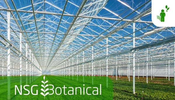 温室向けガラス製品「NSGボタニカル」シリーズを立ち上げ　日本板硝子