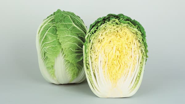 石灰欠乏症（あんこ）に強いハクサイ新品種「桜月」種子発売　サカタのタネ