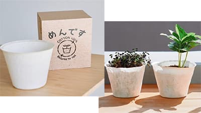 土に還る「めんです育苗ポット」試験販売開始　日清紡テキスタイル