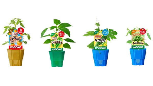 カゴメ「オリジナル品種家庭園芸用苗」2026年シーズン販売開始