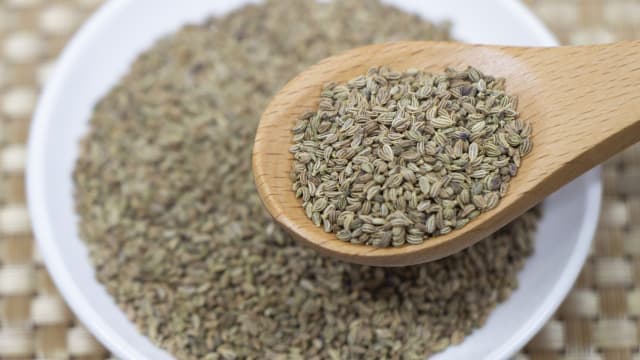 種子の市場規模　2026年に730億7000万米ドル到達予測