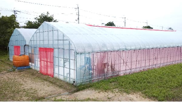 AI潅水施肥システム「ゼロアグリ」大阪府池田市の農福連携農園に導入　ルートレック・ネットワークス