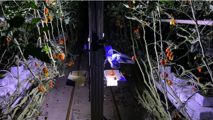 食領域の社会課題の解決へ　アグリテックと代替シーフード開発の2社に投資　FutureFoodFund