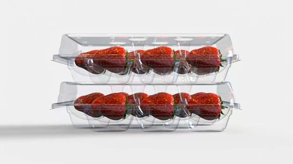 果実販売の次世代パッケージ「無重力トレー」開発　マラナタ