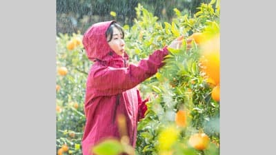 農業女子PJ　農作業時の負担を軽減するレインウエア発売　ミズノ