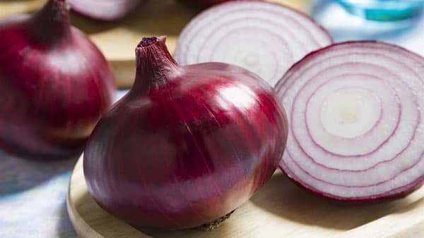 栽培容易で色鮮やか　赤タマネギの新品種「ケルたまルビー」発売　タキイ種苗