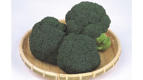 サカタのタネ　ブロッコリー開発で「農林水産技術会議会長賞 民間企業部門」受賞