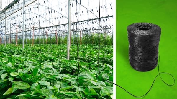 温室栽培の誘引ひも向け生分解性ポリマー開発　BASF