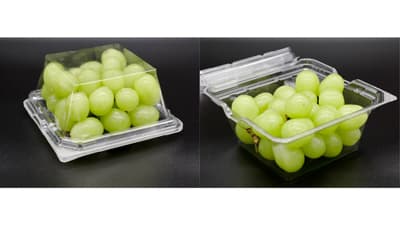 青果物用リブ無しパック「APロイヤルシリーズ」ダクト付2型を追加　エフピコチューパ