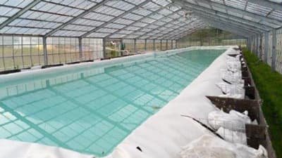 農地の土壌を汚さず土の温かさを利用　ビニールハウス養殖を本格支援　太陽工業