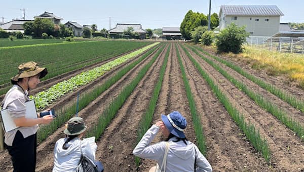 茨城県農業改良普及センター「スキーポン」実証試験　長ネギで開始　アクプランタ