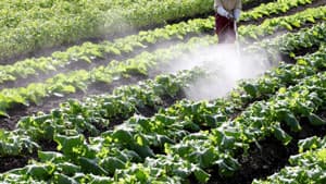 農業用アジュバントの市場規模　2026年に53億米ドル到達予測